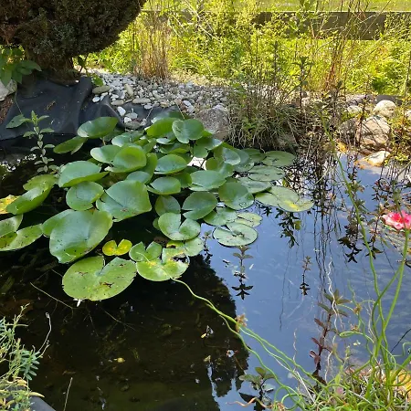 Zum Attersee Appartement *