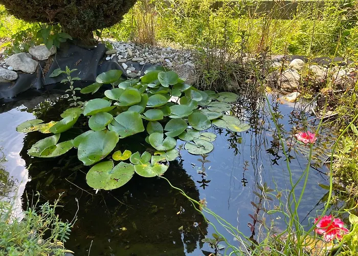 Zum Attersee Διαμέρισμα *